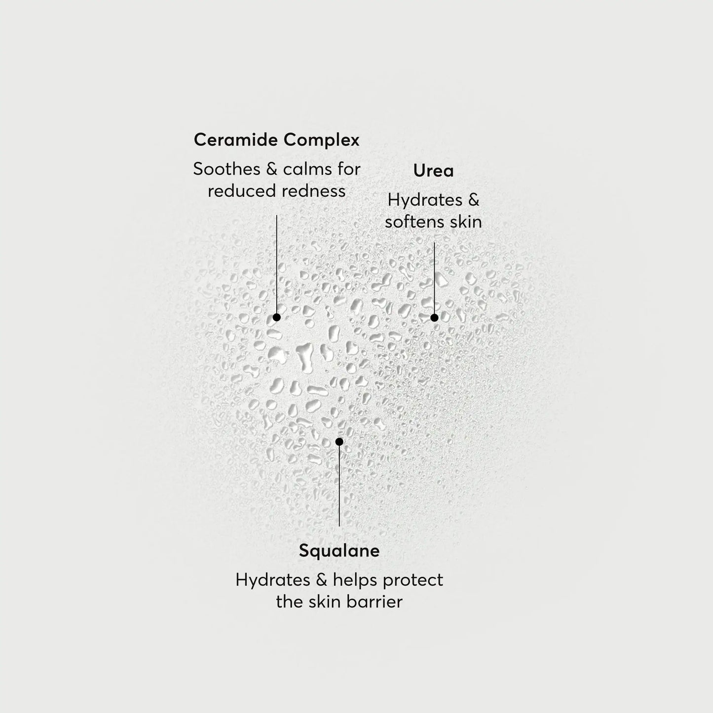 barrier-bounce-bi-phase-mist-f9 NATR-10167-Alt-Images-Barrier-Bounce-Bi-Phase-Toner-Mist_01.webp
